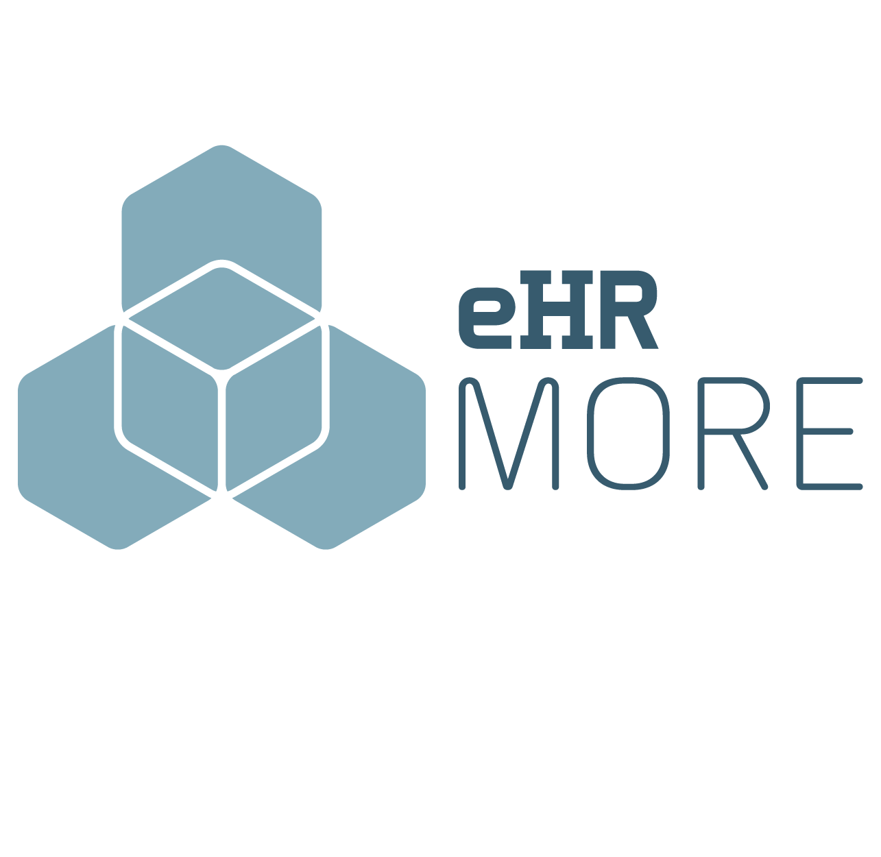 NEXON eHR More csomag